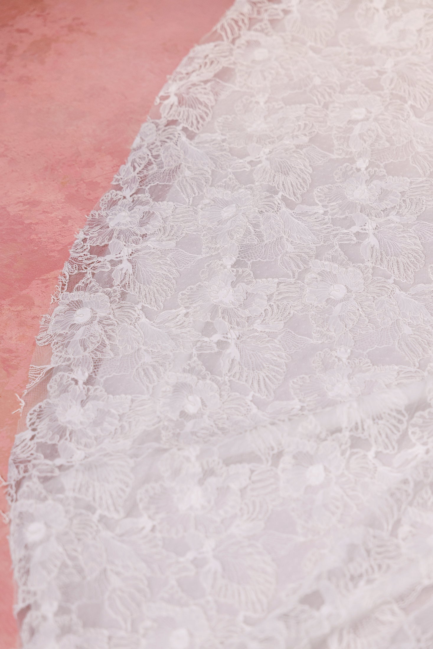 Cassiopeia Plus Size