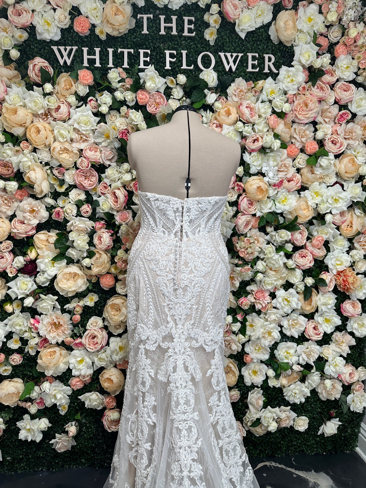 1060 Plus Size