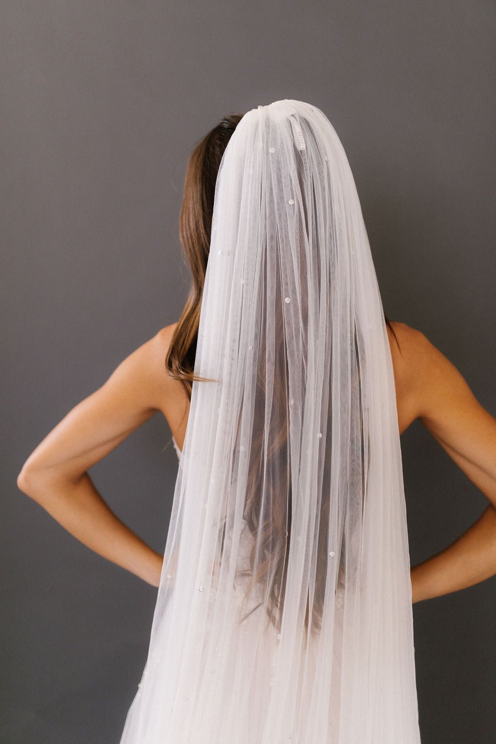 Aerin Sequin Cathedral Veil